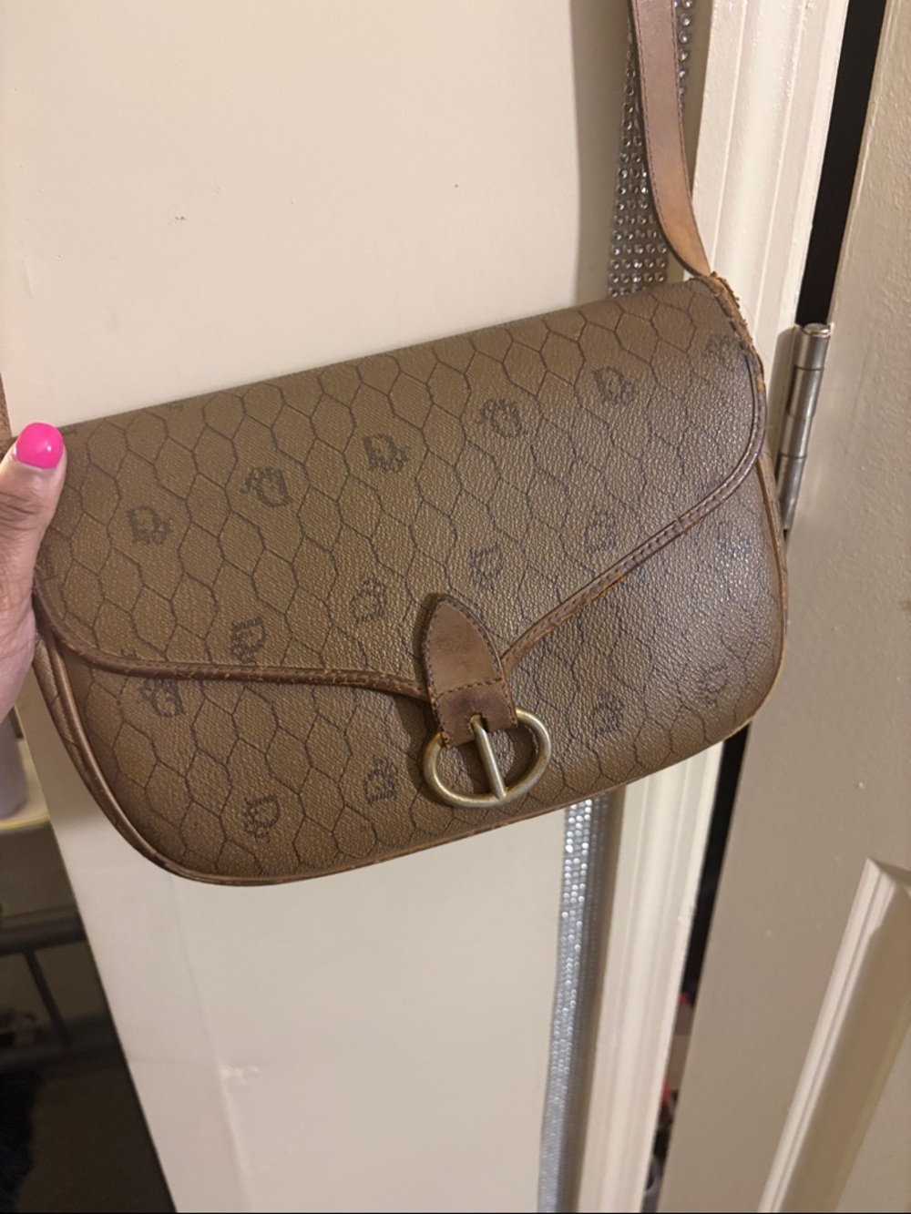 Christian dior project bag